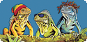 Amphibian & Reptile T-Shirts, Tees, Tie-Dyes