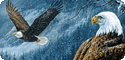 Birds Of Prey T-Shirts, Tees, Tie-Dyes