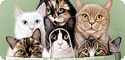 Cats & Kittens T-Shirts, Tees, Tie-Dyes