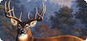 Deer & Elk T-Shirts, Tees, Tie-Dyes