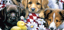 Dogs & Puppies T-Shirts, Tees, Tie-Dyes
