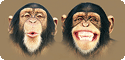 Primates T-Shirts, Tees, Tie-Dyes
