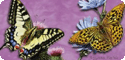 Songbirds & Gardening T-Shirts, Tees, Tie-Dyes