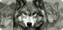 Wolf Collection T-Shirts, Tees, Tie-Dyes