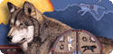 Spirit Animals T-Shirts, Tees, Tie-Dyes